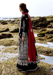 Heavy emb lawn with chiffon emb dupatta