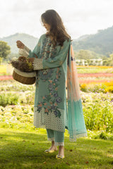 Mushq on emb Dhanak with Pashmina wool shawl