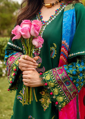 Zarashahjahan on emb Dhanak with Pashmina wool shawl