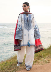 Zarashahjahan on emb Dhanak with Pashmina wool shawl