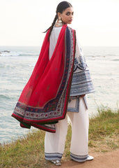 Zarashahjahan on emb Dhanak with Pashmina wool shawl