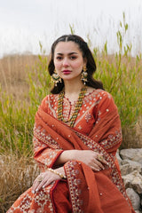 Qalamkar — 3pc on emb Lawn 90/70 with Chiffon Emb Dopatta image 1