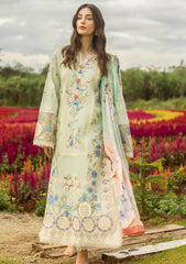 Mushq on chickankari Lawn with Diamond printed Dopatta