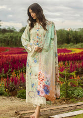 Mushq on chickankari Lawn with Diamond printed Dopatta