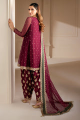 Jazmin on emb Dhanak with heavy Emb Dhanak shawl
