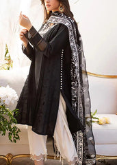 Emb Linen with Emb Organza dopatta