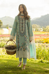 Mushq on emb Dhanak with Pashmina wool shawl
