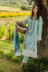 Mushq on emb Dhanak with Pashmina wool shawl