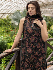 Bareeze on emb Dhanak with Emb Dhanak shawl