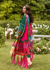 Zarashahjahan on emb Dhanak with Pashmina wool shawl