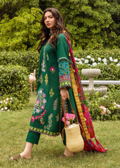 Zarashahjahan on emb Dhanak with Pashmina wool shawl