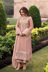 Azure on emb Dhanak with Dhanak  emb shawl