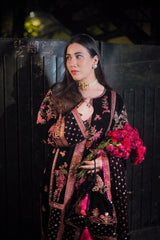 Aneelas 3pc heavy emb velvet with velvet heavy emb shawl