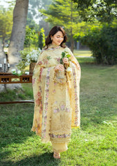 MF1349| ELAF UNSTITCHED 3PC HEAVY EMB PREMIUM VISCOS WITH READY TO WEAR EMB & PRINTED SILK SHAWL